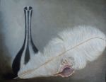 Feather and Shell